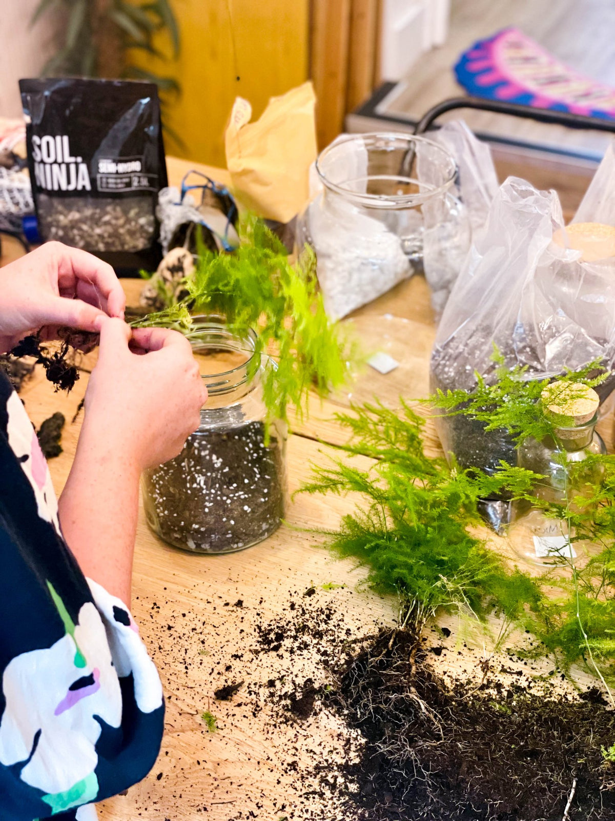 Build Your Own Terrarium: A Step-by-Step Guide from Sprouts - Sprouts of Bristol