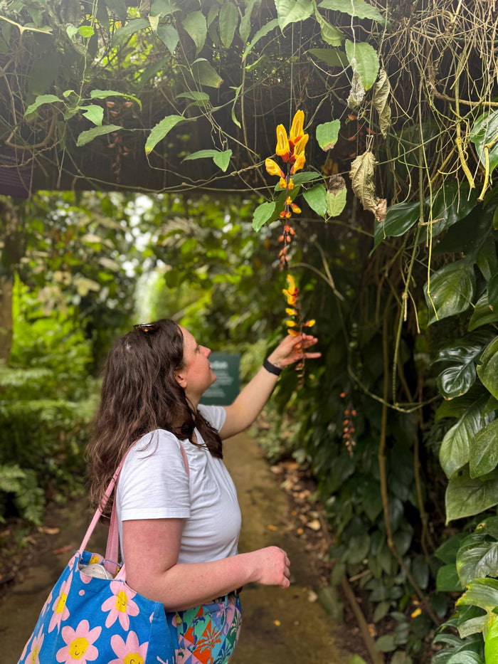 Building a Jungle: Behind the Scenes of Our RHS Malvern Show Garden - Sprouts of Bristol
