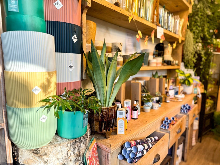 Seven Ways to Personalise Your Christmas Gifts With Sprouts - Sprouts of Bristol