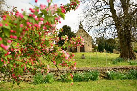 The History of Mother’s Day & Mothering Sunday: How Traditions Have Evolved - Sprouts of Bristol