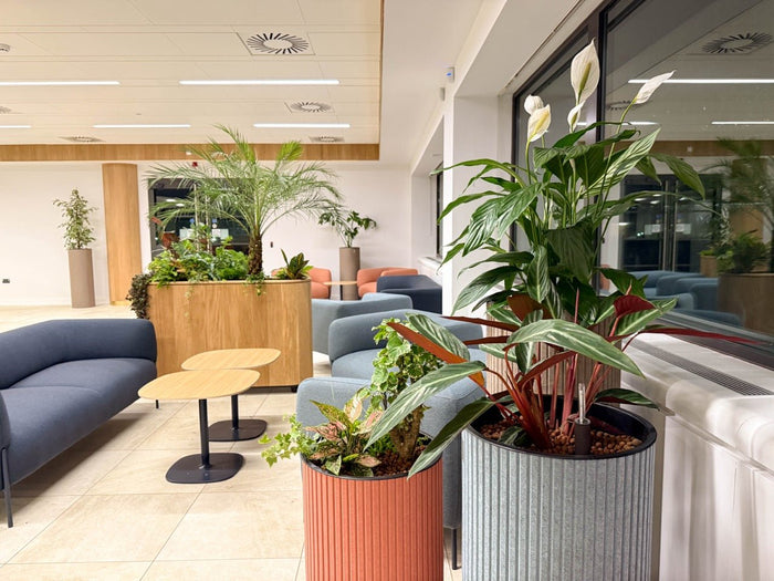 Transforming 100 Temple Street: A Greener Workspace for Bristol City Council - Sprouts of Bristol