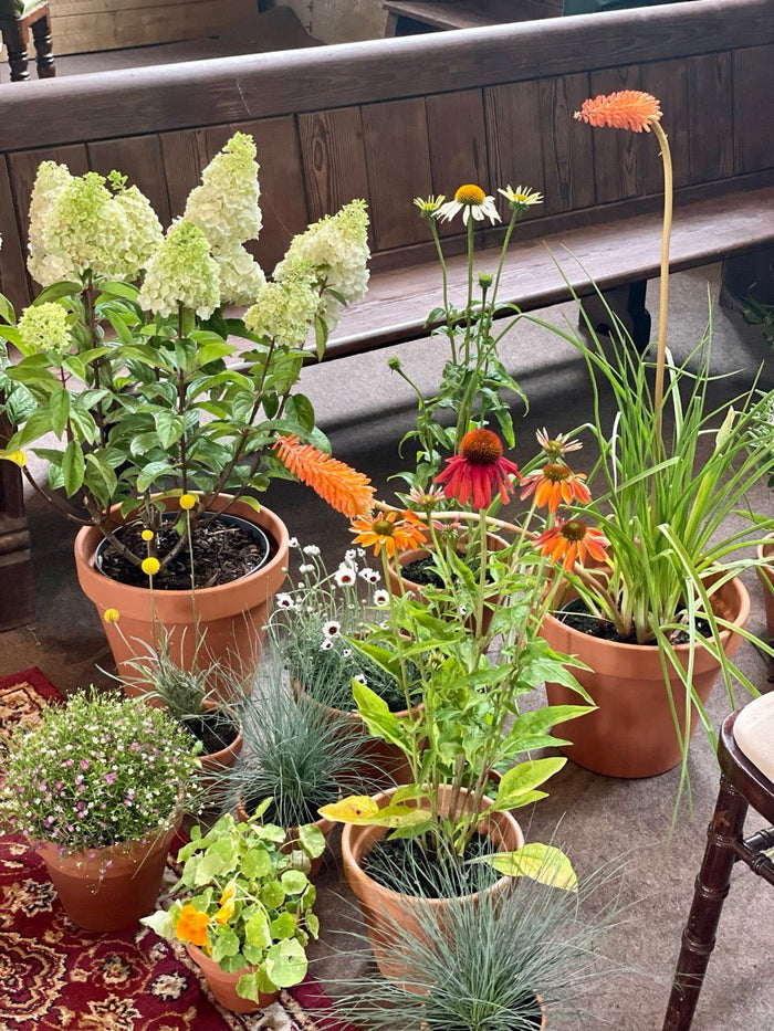 Wildflowers, Herbs, and Rustic Elegance: Hannah & Tom’s Wedding at The Mount Without - Sprouts of Bristol