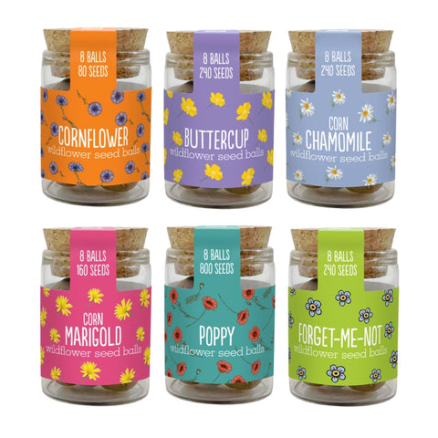 Wildflower Seed Ball Jar – Grow Your Own Wildflowers