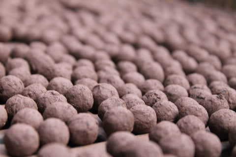 Edible Flowers Mix - Wildflower Grab Bag