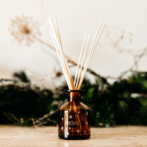 Winter Thyme Christmas Mini Diffuser