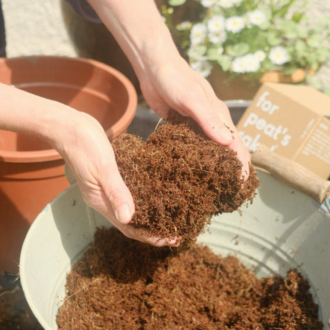 9 L Peat - free Coir Compost - Sprouts of Bristol