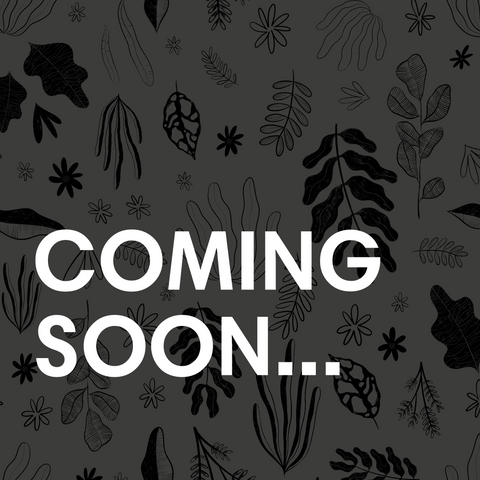 Lophophora williamsii