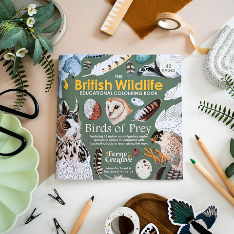 British Bird of Prey Educational Colouring Book