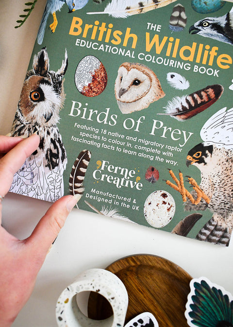 British Bird of Prey Educational Colouring Book