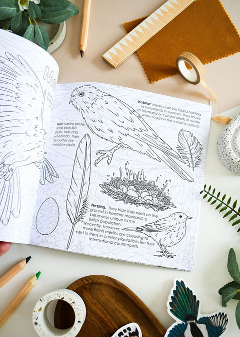 British Bird of Prey Educational Colouring Book