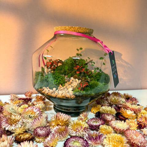 Iza Glass Valentine’s Bioactive Terrarium