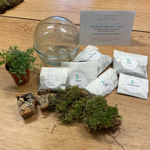 DIY-Terrarium-Bausatz [Bauen Sie Ihr eigenes Terrarium mit optionalen Extras] Plastikfreie Verpackung!