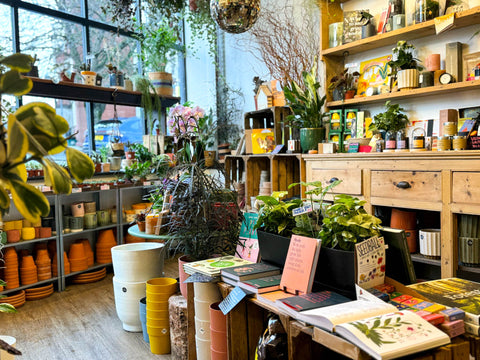 An award-winning lifestyle and gift shop with a passion for plants and independent brands