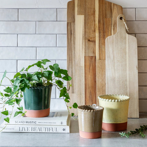 Adeline Beaded Edge Planter – Forest Green - Sprouts of Bristol