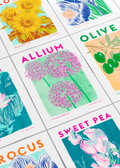 Allium Botanical Risograph Print - Sprouts of Bristol