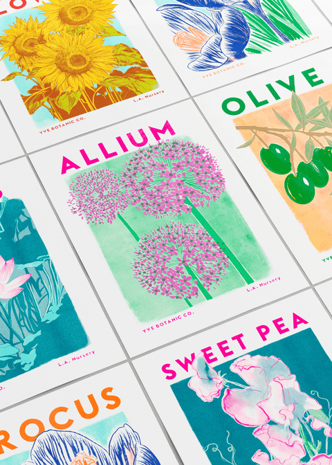 Allium Botanical Risograph Print - Sprouts of Bristol