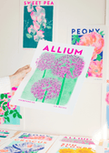 Allium Botanical Risograph Print - Sprouts of Bristol