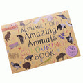 Alphabet of Amazing Animals Colouring Book - Sprouts of Bristol