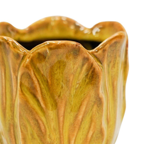 Alyssa Tulip Planter - Sprouts of Bristol