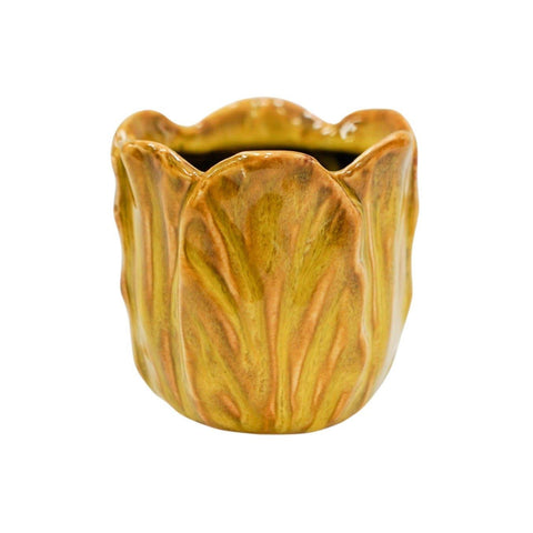 Alyssa Tulip Planter - Sprouts of Bristol