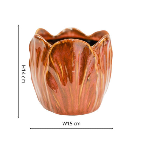 Alyssa Tulip Planter - Sprouts of Bristol