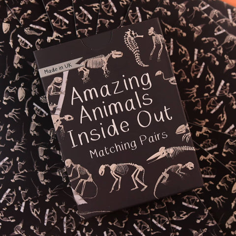 Amazing Animals Inside Out Matching Pairs - Sprouts of Bristol