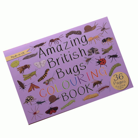 Amazing British Bugs Colouring Book - Sprouts of Bristol