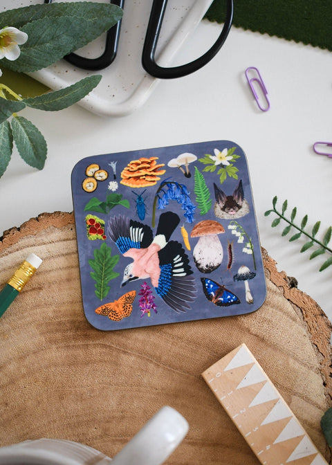 Ancient Woodland Illustrated Wildlife Coaster; featuring jays, anemones and fungi - Sprouts of Bristol