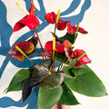 Anthurium andraeanum 'Coral Champion' - Red Flamingo Flower - Sprouts of Bristol