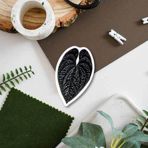 Anthurium luxurians Tropical Houseplant Vinyl Sticker [Beneath the Canopy RHS Collab] - Sprouts of Bristol