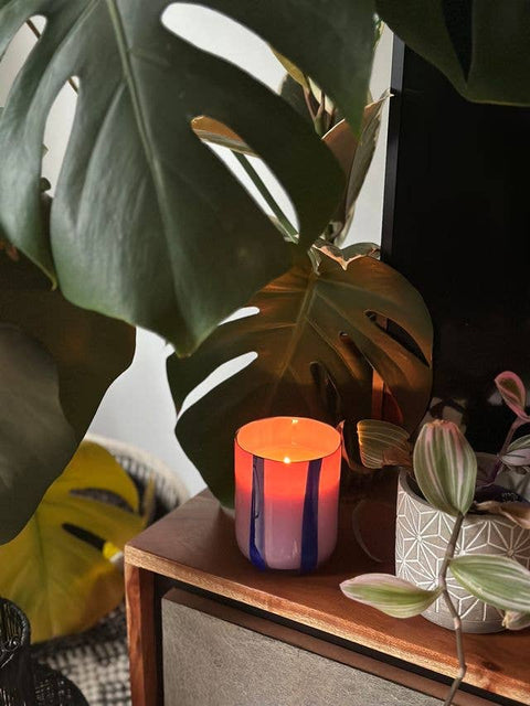 Atina Candle - Blackcurrant & Oudh - Sprouts of Bristol