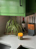 Atina Candle - Fresh Olive & Lemon - Sprouts of Bristol