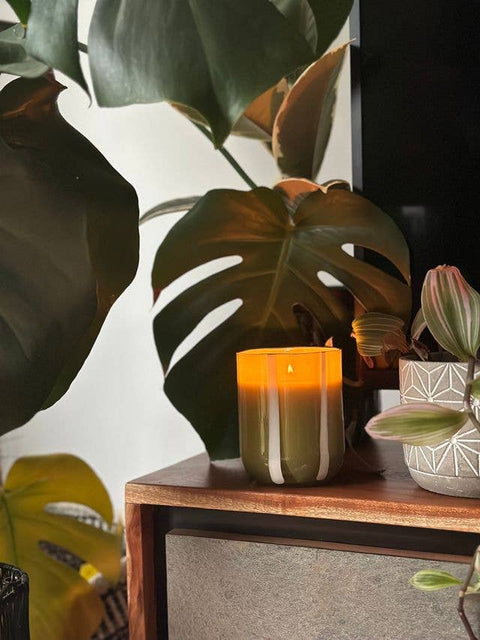 Atina Candle - Fresh Olive & Lemon - Sprouts of Bristol