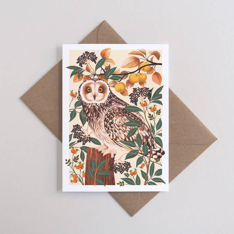 Autumn Owl | Everyday greetings card | Autumn, nature - Sprouts of Bristol