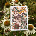 Autumn Owl | Everyday greetings card | Autumn, nature - Sprouts of Bristol