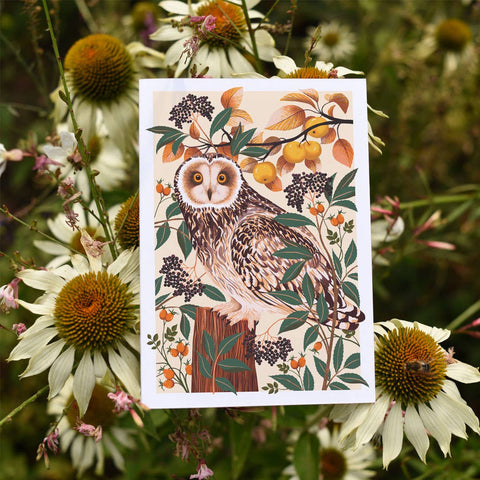 Autumn Owl | Everyday greetings card | Autumn, nature - Sprouts of Bristol