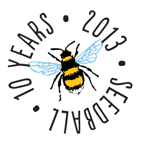 Edible Flowers Mix - Wildflower Grab Bag