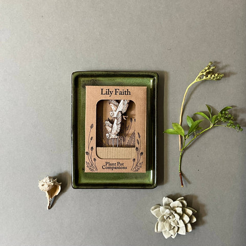 Barn Owl Plant Pot Companions - Sprouts of Bristol