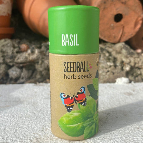 Basil Herb Garden Seedball Tubes - Sprouts of Bristol