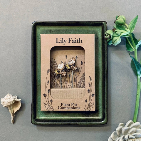 Bee Plant Pot Companions - Sprouts of Bristol