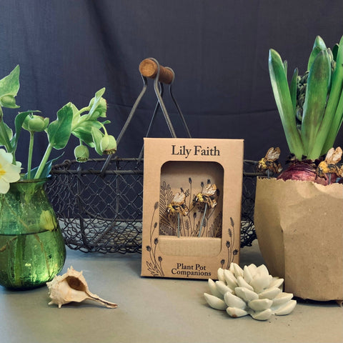 Bee Plant Pot Companions - Sprouts of Bristol