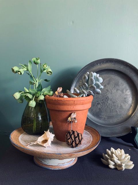 Bee Plant Pot Companions - Sprouts of Bristol