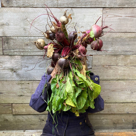 Beetroot Risograph Greetings Card - Sprouts of Bristol