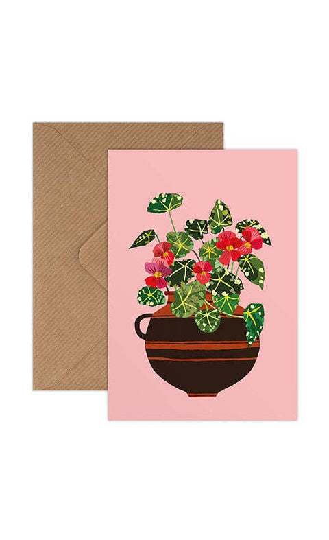 Begonia Greetings Card - Sprouts of Bristol