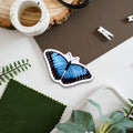 Blue Morpho Butterfly Wildlife Vinyl Sticker [Beneath the Canopy RHS Collab] - Sprouts of Bristol