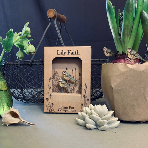 Blue Tit Plant Pot Companions - Sprouts of Bristol