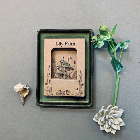 Blue Tit Plant Pot Companions - Sprouts of Bristol