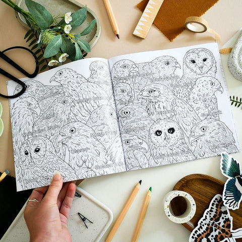 British Bird of Prey Educational Colouring Book - Sprouts of Bristol