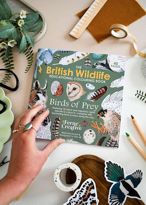 British Bird of Prey Educational Colouring Book - Sprouts of Bristol