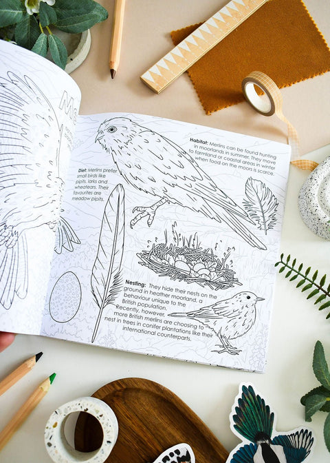 British Bird of Prey Educational Colouring Book - Sprouts of Bristol